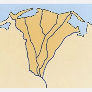 Illustration of river delta