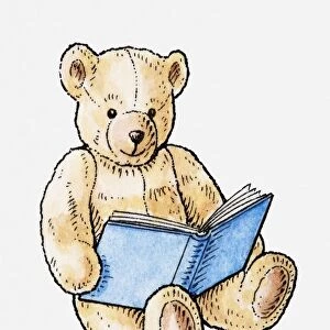 Illustration of teddy bear with book