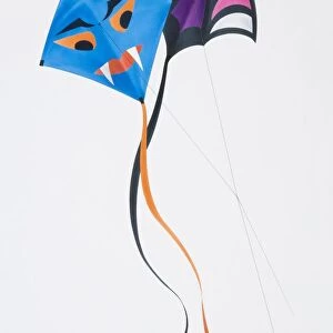 Kite fighting, two colourful kites flying with their lines crossing