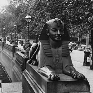 London Sphinx