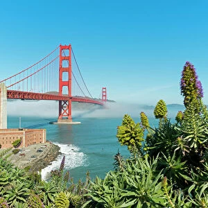 Golden Gate Suspension Bridge