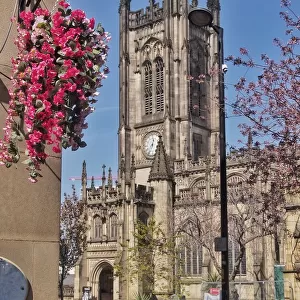 Manchester cathedral and gardens