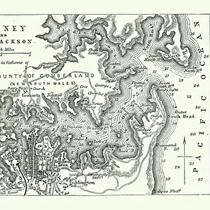 Map of Sydney and Port Jackson, Australia, 19th Century