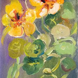 Nasturtium flowers oil painting