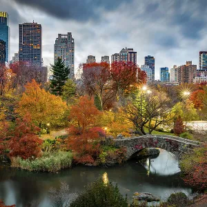 New York Central Park during Autumn