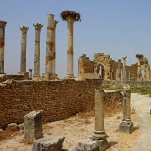 Old Roman city of Volubulis, Morocco