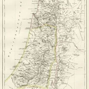 Palestine Collection: Maps