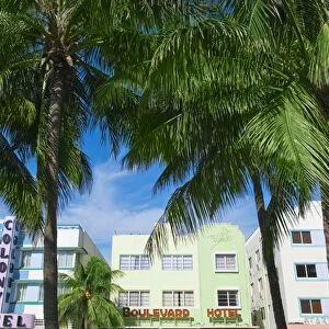 Palm trees and art deco buildings
