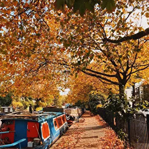 Path covered with autumn leaves in Little Venice, London, UK