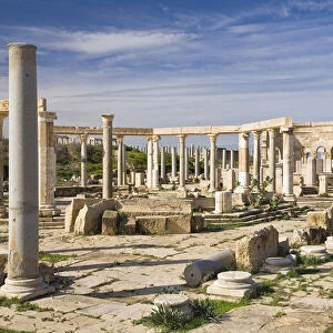 Punic market, Leptis Magna, Libya, North Africa, Africa