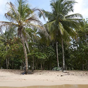 Secluded beach, Punta Uva, Puerto Viejo de Talamanca, Costa Rica, Central America