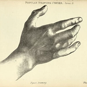 Sketching human hand, wrist and fingers, Victorian art figure drawing copies 19th Century