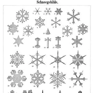 Snowflakes 1895