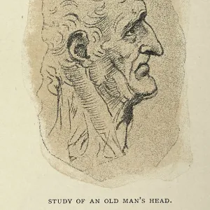 Study of an old man's head, Early renaissance art, After the sketch by Leonardo da Vinci