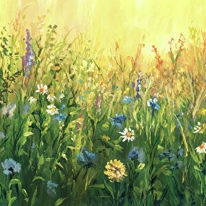 Summer meadow, watercolor painting
