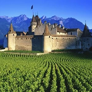 Switzerland, vineyard & Chateau d Aigle