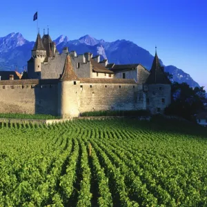 Switzerland, vineyard & Chateau d Aigle