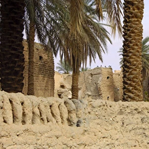 Traditional house with palm garden, Ghadames, UNESCO world heritage, Libya