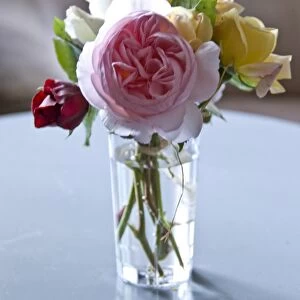 Bunch of garden roses tied with raffia in clear glass on painted table indoors credit