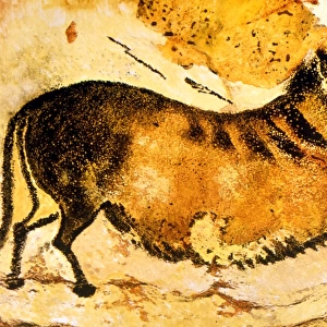 Popular Themes Collection: Cave Paintings