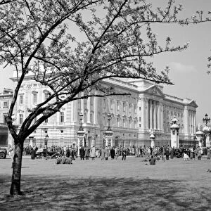 Crowds outside Buckingham Palace, London, England, UK 1960 s