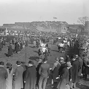 Double Chance wins the Grand National the paddock showing some of the National