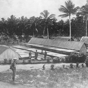 German East Africa Nuala, A drying ground on a copra estate August 1921