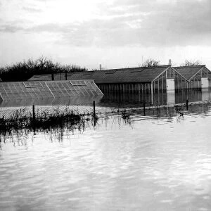 Greenhouses were flooded out in the great floods along the path of the Thames in