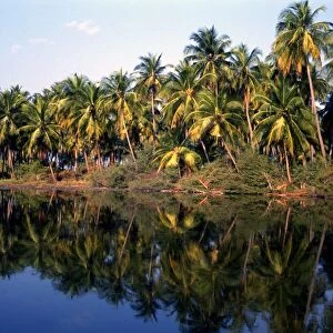 Laccadive Islands Bangaram