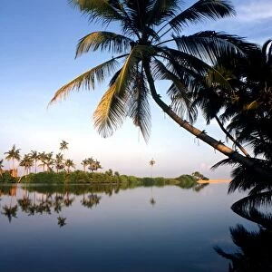 Tropical Islands Sri Lanka Seascape near Kosgoda