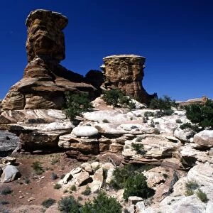 USA Utah Arizona Big Spring Canyon