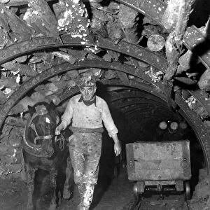 Willie Miller of Eddlewood leads a nine year old pony Bessie up the mine shaft