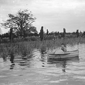 A young girl in a rowing boat on Scadbury Lake. 1939