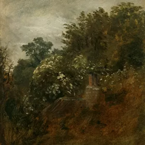 John Constable Collection: Suffolk landscapes