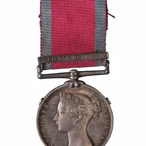 Museum Objects Collection: Medals