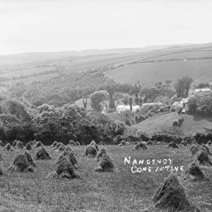 Nancemoy, Constantine, Cornwall. Early 1900s