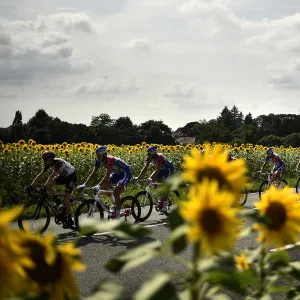 CYCLING-FRA-TDF2018-POSTCARD-FANS