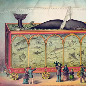 19th Century Circus Aquarium, 1873 (lithograph)