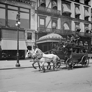 A 5th Ave stage, New York, N. Y. c. 1900-10 (b / w photo)