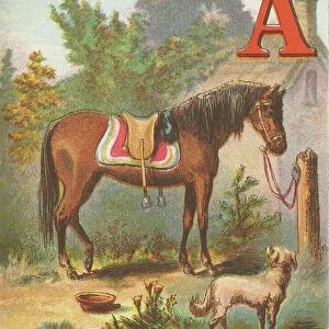 A: A Stands for Arabian, with Neptune to Guard All Saddled and Bridled, the Pet of Our Yard. 1870 (illustration)