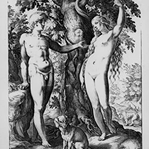 Adam and Eve, engraved by Hendrik Goltzius, 1585 (engraving)