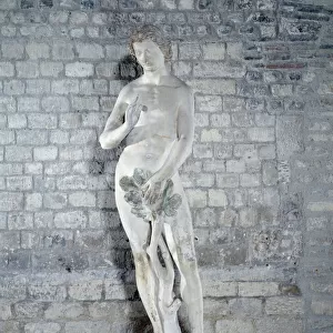 Adam Sculpture from the cathedrale Notre Dame de Paris. 1260 approx. Sun