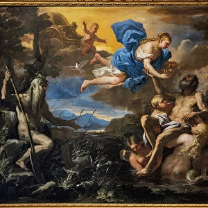 Aeneas made immortal by Venus, second half 17th century (oil on canvas)