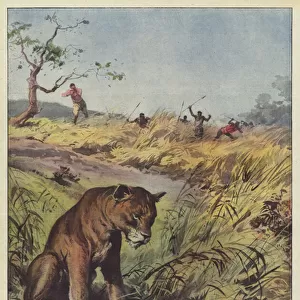 African Adventures (Colour Litho)