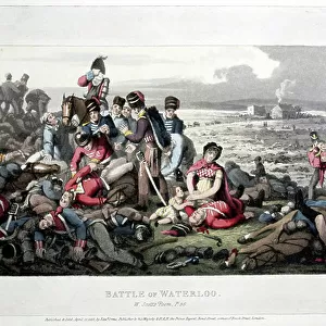 Battle of Waterloo Collection: Casualties and aftermath