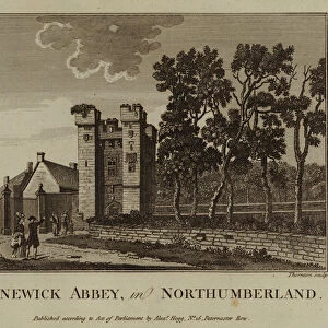 Alnewick Abbey, in Northumberland (engraving)