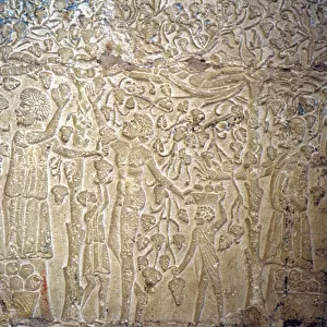 Ancient Egypt, Wall carving/painting, , Tomb of Petosiris, Tuna el Gebel, 300 BC, Grape picking for wine making (photo)