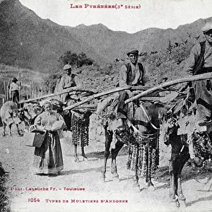 Andorra (Andorra) in the Pyrenees around 1910: mule makers of Andorra