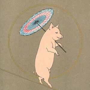 An anthropomorphic pig performing in a circus (colour litho)