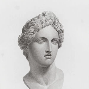 Apollo, ancient Roman marble sculpture (engraving)